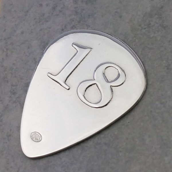 Custom Guitar Pick For 18th Birthday In Silver - ShopStreet.ie Gifts For Guitar Players