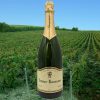 Vegan Friendly Champagne Bottle Gift. Premium Family Made Artisan Champagne Gift. Neveux Rousseau available in Ireland Exclusively On ShopStreet.ie.