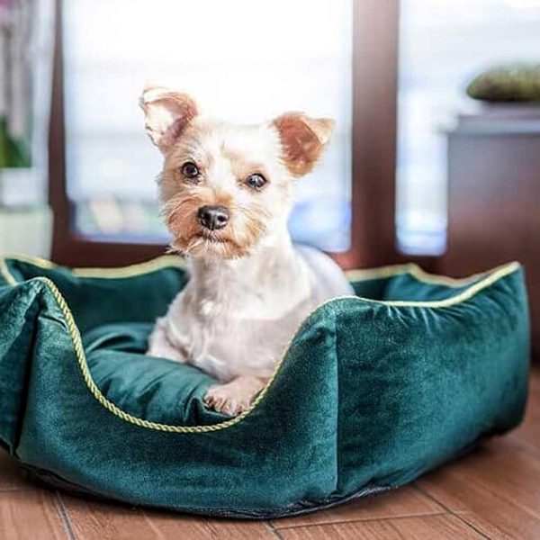 Dog Bed - Luxury Crown Dog Bed. Available in 3 Dog Bed sizes. Crown pet bed also suits Puppy, Cats & Kittens.