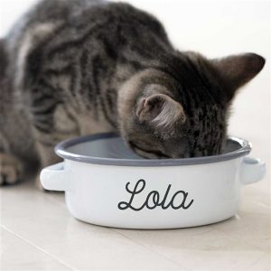 Personalised Cat Feeding Bowl In White Enamel with Grey Rim & Two Handles engraved with the Name Of Your Cat. 11cm Diameter White & Grey Enamel Cat Bowl