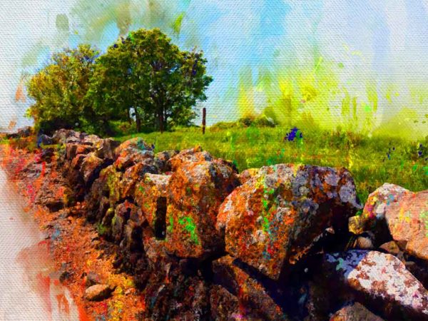 Wall Art Poster of Galway Stone Wall In Summer by the shore of Galway Bay, Ireland. Museum quality A4 Art Bamboo Print.