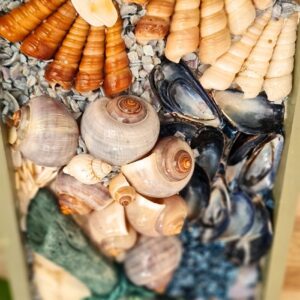 Coastal Wall Art Ireland: Framed Sea Shell Collage. Handcrafted with real Irish shells, this unique 3D art adds a serene coastal touch to any space. Free shipping.