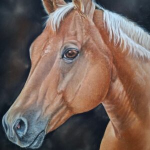 Original palomino horse artwork Ireland – framed soft pastel equine wall art, realistic horse portrait, statement wall art Ireland