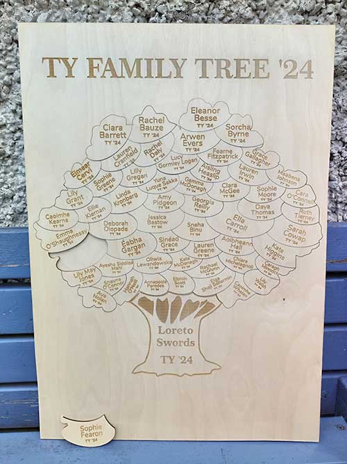 Transition Year Celebration Puzzle Frame for Irish Schools - Custom Bespoke Completed Puzzle